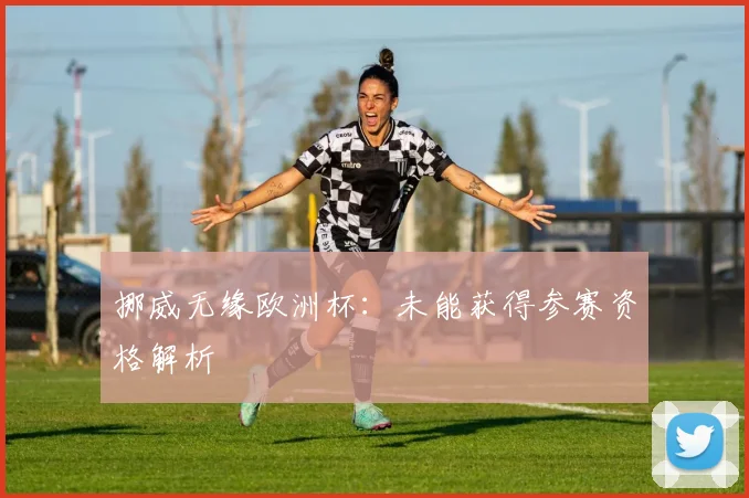 挪威无缘欧洲杯:未能获得参赛资格解析