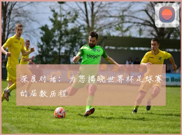 深度对话:为您揭晓世界杯足球赛的届数历程