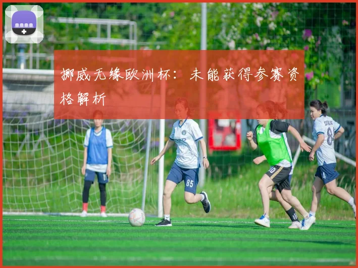 挪威无缘欧洲杯:未能获得参赛资格解析