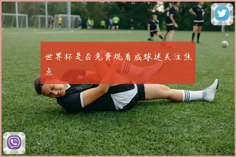世界杯是否免费观看成球迷关注焦点