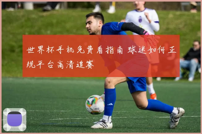 世界杯手机免费看指南 球迷如何正规平台高清追赛