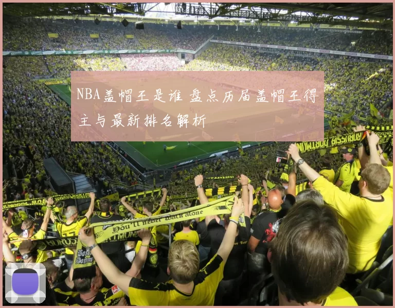 NBA盖帽王是谁 盘点历届盖帽王得主与最新排名解析