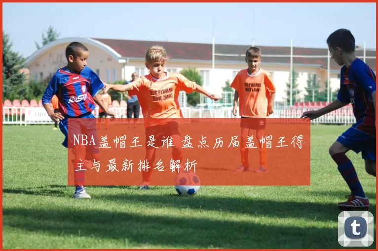 NBA盖帽王是谁 盘点历届盖帽王得主与最新排名解析
