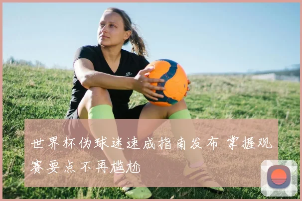 世界杯伪球迷速成指南发布 掌握观赛要点不再尴尬