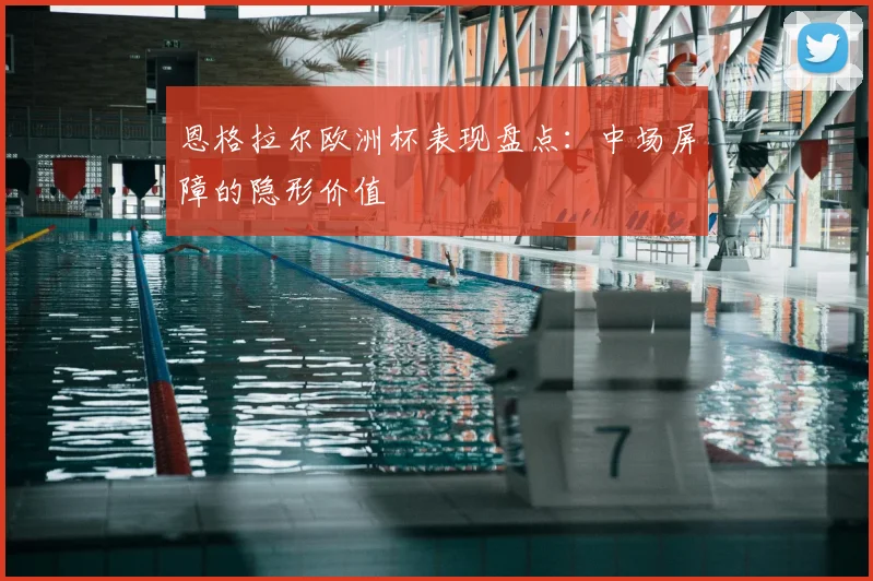 恩格拉尔欧洲杯表现盘点:中场屏障的隐形价值