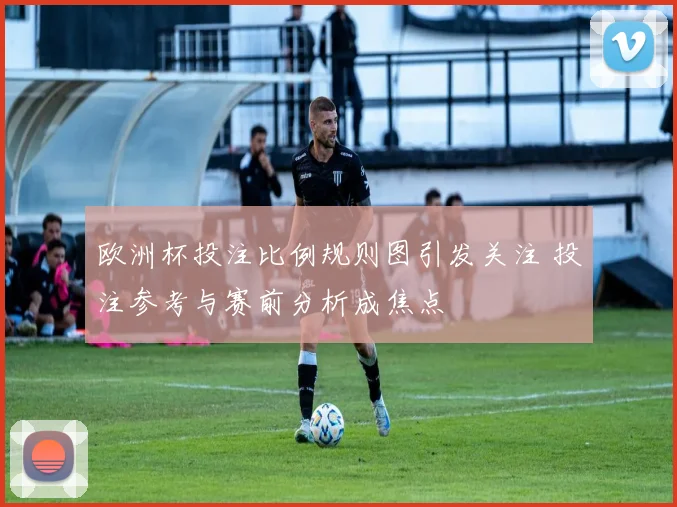 欧洲杯投注比例规则图引发关注 投注参考与赛前分析成焦点