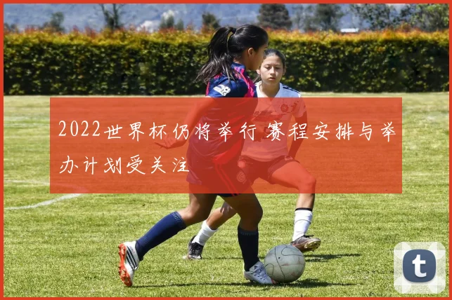 2022世界杯仍将举行 赛程安排与举办计划受关注