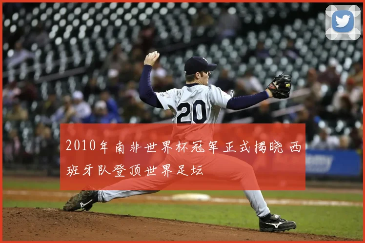 2010年南非世界杯冠军正式揭晓 西班牙队登顶世界足坛