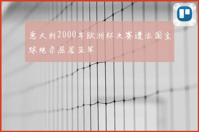 意大利2000年欧洲杯决赛遭法国金球绝杀屈居亚军