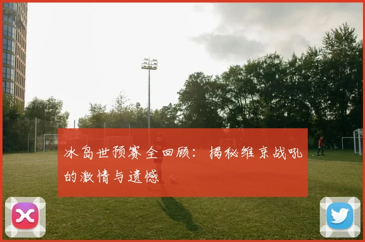 冰岛世预赛全回顾：揭秘维京战吼的激情与遗憾