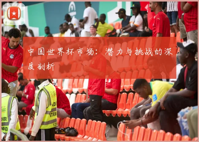 中国世界杯市场：潜力与挑战的深度剖析